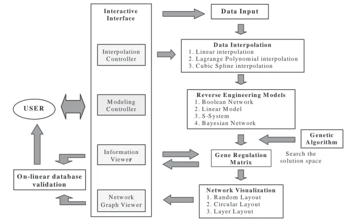 Fig. 1. The architecture of GeneNetwork.