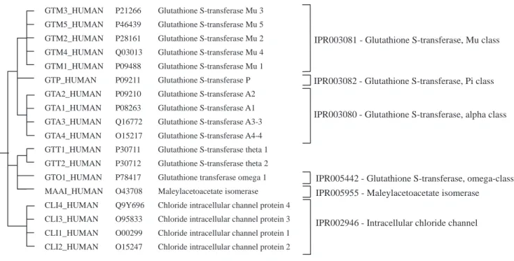 Fig. 6. An example that demonstrates the effects achieved with the proposed incremental clustering algorithm.