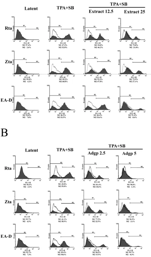 Fig. 3. Determining the Expression of Rta, Zta and EA-D in P3HR1 by Flow Cytometry Analysis