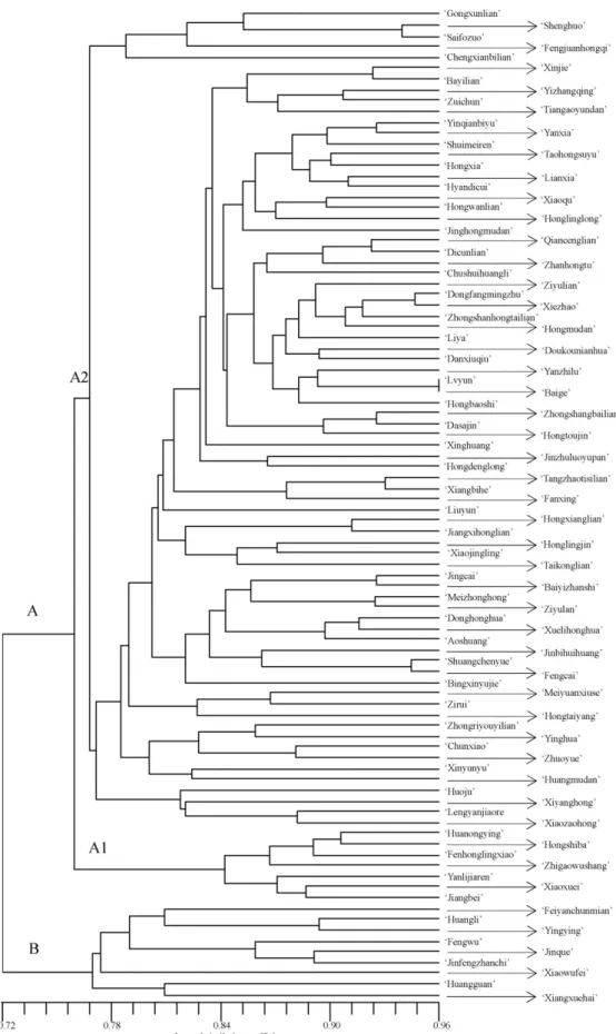 Fig. 2. Dendrogram of 92 cultivars of sacred lotus constructed with UPGMA method.