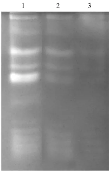 Fig. 12 Urea treatment of green bamboo leaf crude protein extract.   
