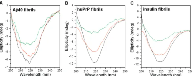 Figure 3. Fluorescence emission spectra of Aβ40 fibrils (A), huPrP fibrils (B), and insulin fibrils (C) before and after digestion by nattokinase at 40 °C, pH 7, using ThT binding assay