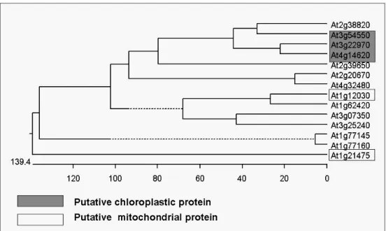 Figure 7. Phylogenetic analysis of genes with the DUF506 domain in  Arabidopsis. 