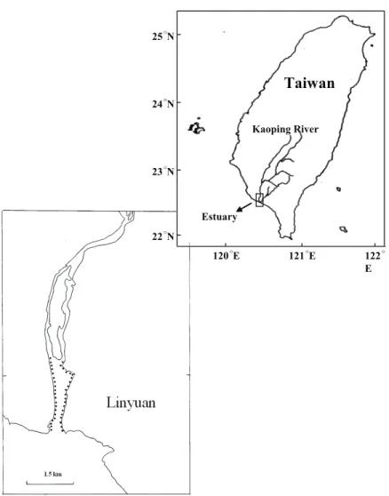 Figure 1. Sampling site of Japanese and exotic American eels in the estuary of the Kaoping River  of southern Taiwan