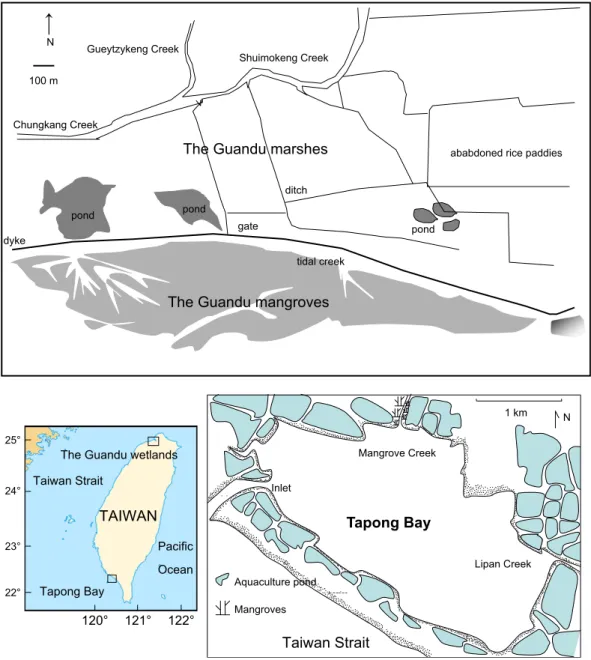 Fig. 1. The Guandu mangroves, Tapong Bay and their surrounding land uses.