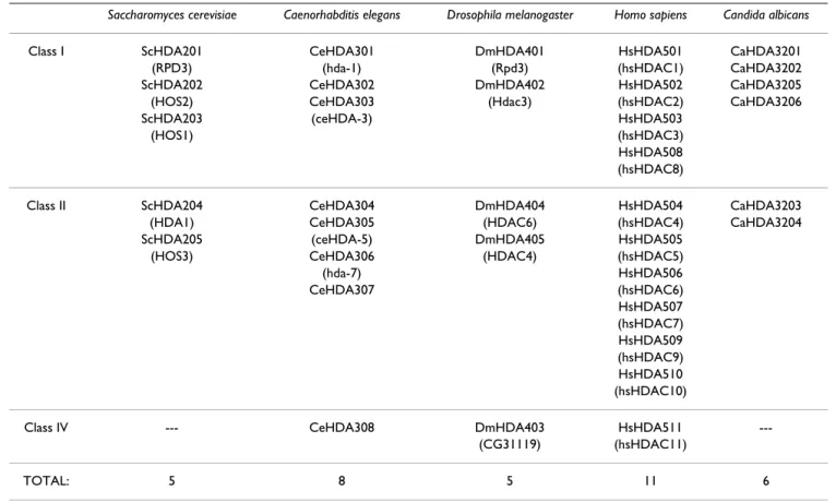 Table 1: RPD3/HDA1 superfamily histone deacetylases in yeast and metazoans used for phylogenetic analysis with Arabidopsis thaliana Saccharomyces cerevisiae Caenorhabditis elegans Drosophila melanogaster Homo sapiens Candida albicans
