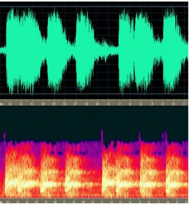 圖 1. 聲音資料庫之範例，本圖為台灣藍鵲之聲譜，上圖為波形譜，下圖為光譜