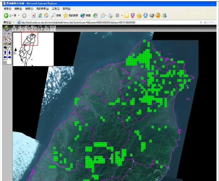 圖 12.將線上地理資訊系統的台灣藍鵲分布圖進行放大。