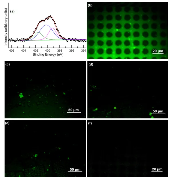 Figure 3 Demonstrations of the reversible association—dissociation of GST on a GSH modiﬁed Si substrate
