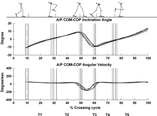 Fig. 2. Ensemble-averaged A/P COM–COP inclination angle and angular velocity in older (thick curves) and young group (thin curves) when crossing obstacles of 10% LL (solid), 20% LL (dashed) and 30% LL (dotted)