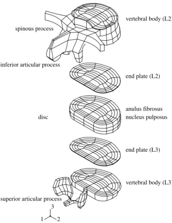 Figure 1. The finite element mesh of the lumbar spinal motion segment L2 – L3. The criss-cross structured anulus collagen fibers of the disc and the ligaments are not plotted for better visualization.
