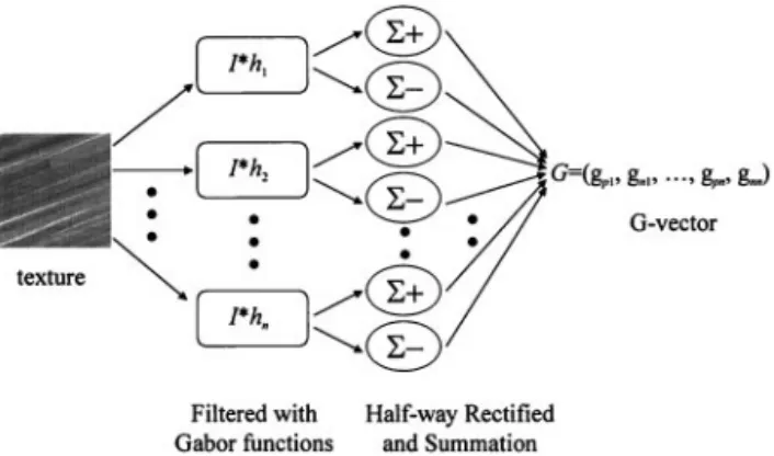 Fig. 2. Derivation of the G-vector, where I*h k stands for convolving the image with the kth Gabor function, ⌺⫹ and ⌺⫺