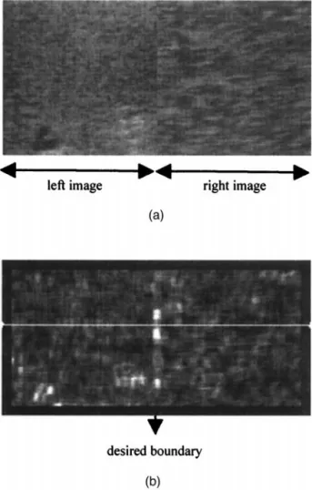 Fig. 4. (a) A synthetic edge image consisting of two 128 ⫻ 128 US images. (b) The distance map of the synthetic edge image
