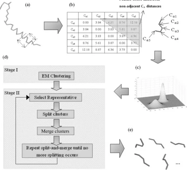 Fig. 1. The procedure of structural alphabet discovery. (a) Protein structures are cut into overlapping 5-mer fragments