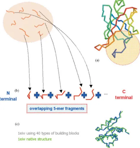 Fig. 4. Global-fit protein structure approximation. (a) The native protein structure to be approximated