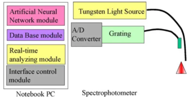 Fig. 1. Schematic diagram of the portable spectral system for burn wound assessment, which consists of a Tungsten light source, a Y-bundle fiber, a spectrometer and the software modules for system operation