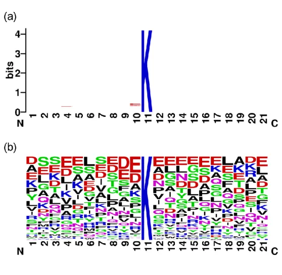 Figure 4.1 The sequence logo of  the 151 positive samples with w=21. (a) infor- infor-mation content and (b) frequency plot