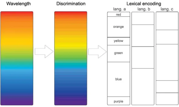 Figure 2-1. Color encoding levels from stimuli and discrimination to lexical encoding