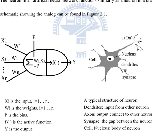 Fig. 2.1. Schematic shows the analog of artificial neuron and brain neuron structure. 