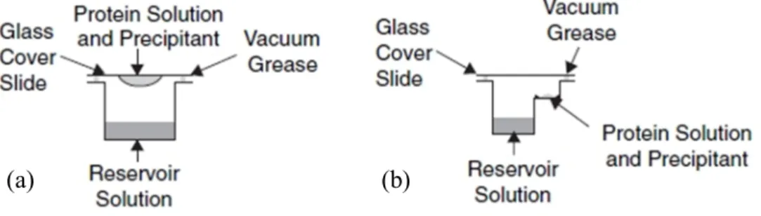 Fig.  1.2  Schematic  illustration  of  crystal  formation  from  a  disordered medium to a highly ordered phase [20]