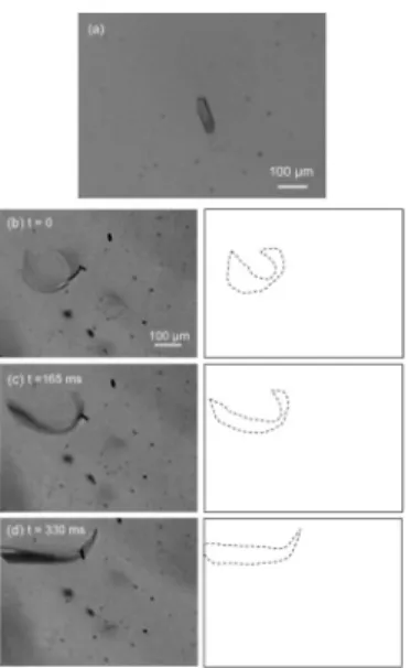 Fig. 2.11 Microscopic images of generated anthracene crystals at a pulse energy of 6.7 