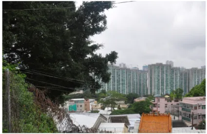 圖 2 今日的老圍村      資料來源：照片於 2010 年 6 月由作者拍攝。    二、老圍建村之由來簡述 老圍村原名為「淺灣園」，在 1649 年開村，英國租借新界的時候 改名。由於淺灣園是荃灣最古老、最早有人居住的圍村之一，所以政府 把土地定名時淺灣園被改名為「老圍村」，慢慢那裏又被稱做「老圍」 （青少年暑期活動委員會  2007：3）。老圍村的居民多是客家人，原籍 寶安縣，以張、許、黃、鄧、曾五個姓氏為主，互有姻親關係（范建明 2005：19-20）。起初居民不多，人數有幾十戶，同姓分佈於同一條