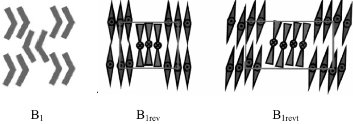 圖 1-5  典型 B 1 相分子排列示意圖 