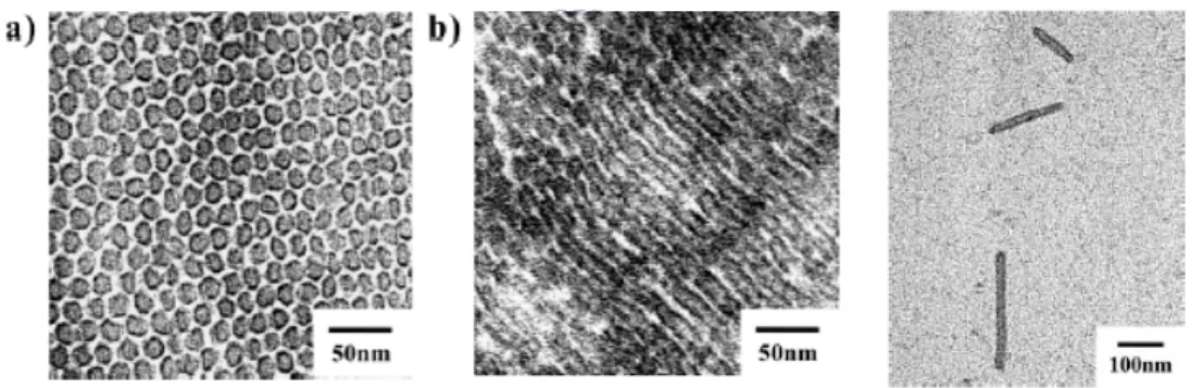 圖 1-19 PS55PLLA95 (f  plla v  = 0.65)之(a)圓柱狀 TEM 顯微攝影圖  (b)TEM 圓柱結構剖面圖 (c)中空管狀 TEM 顯微攝影圖  Watanabe及Takezoe利用彎角型液晶分子對電場以及溫度上的性 質變化，改變並且調控液晶相排列將彎角型分子材料的應用在光學及 控制旋性的記憶元件上 [97] 。近年來在液晶原件的發展上利用膽固醇型 液晶的螺旋特性，分段擷取固定螺矩達到以白光光源入射化合物調控 反射光色的性質 [98] 。 