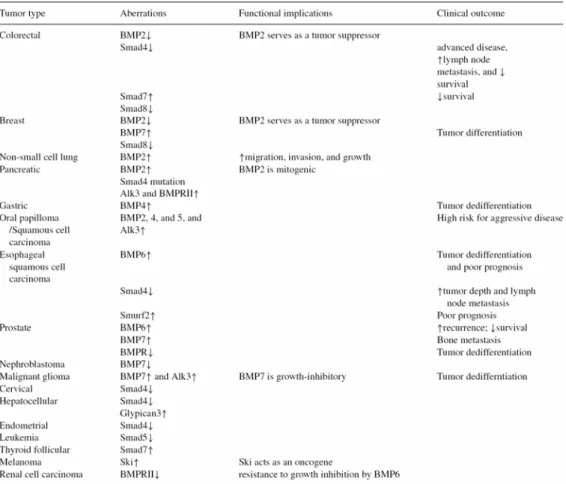 Table 1-1 Aberrations of BMP signaling in human tumor, the functional  relevance and clinical correlations