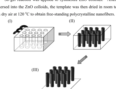 Figure 2-5 Schematic outlines of fabrication free-standing nanowire arrays by AAO  template method