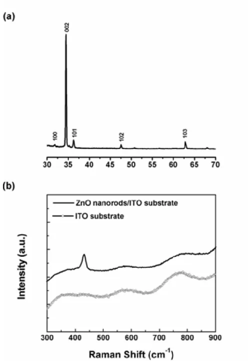 Figure 3-5 (a) XRD pattern and (b) Raman spectrum of the ZnO nanorods on ITO  substrate