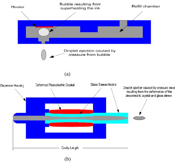 Fig. 2-2 (a) A typical bubble jet dispenser and (b) a typical piezoelectric jet dispenser
