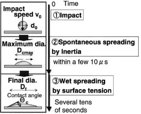 Fig. 2-6 The Behavior of a developing droplet during impact on a substrate. 