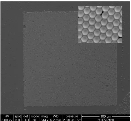 Figure 2.2 Single layer polystyrene beads close-packed in pattern area on silica substrate