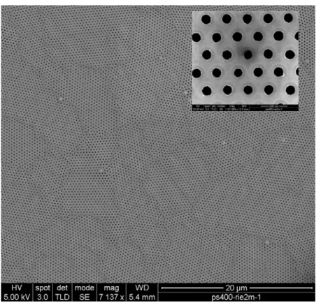 Figure 2.3 The periodic chromium network on silicon substrate after oxygen plasma 