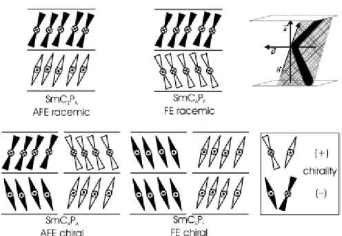Fig. 1-5-1.1 SmCP phase四種類型，C下標可以是S-同相的(synclinic)；