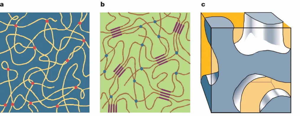 Figure 2-3. Schematic representations of polymer electrolyte networks. (a) Pure (dry) polymer consisting of entangled chains, through which  the Li ions (red points) move assisted by the motion of polymer chains
