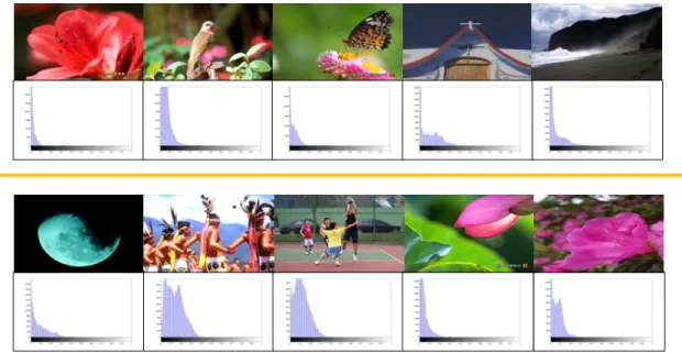 Fig. 4-4 The examples of the images and the corresponded diagrams. 