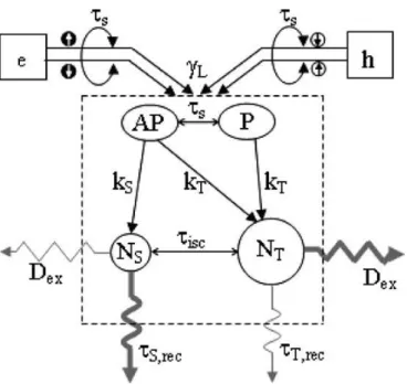 圖 1. 3  有機電激發光的機制，從電子與電洞的結合到單重態或三重態激發 子的放光或非輻射蛻變現象 [7]
