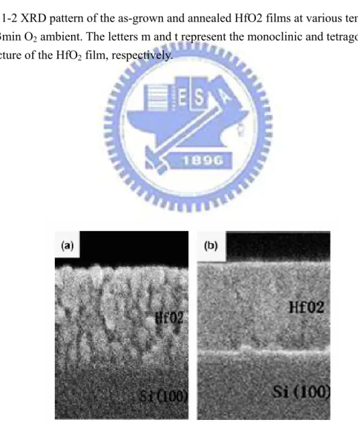 Fig. 1-3 Cross-sectional SEM images of (a) the as-grown and (b) the HfO2 film  annealed at 800℃