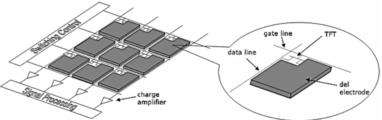 圖  2-5  主動陣列平板 X 光感測器(active matrix flat panel X-ray  imager)[15]。 