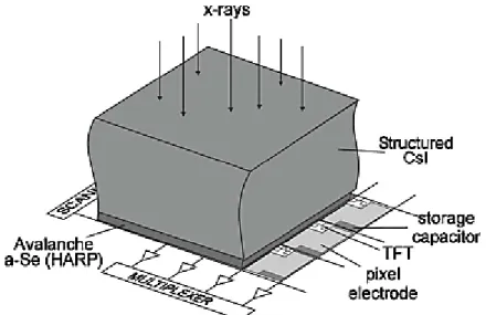 圖  2-7  SHARP-AMFPI(scintillator HARP active matrix  ﬂat panel  imager) [16]。  為了將 HARP 應用於醫療感光顯影系統，必須以固態形式之電極 取代應用於 HARP 攝像管之真空電子束作為元件負極的像素電極陣 列。然而在技術面上卻有許多問題需要克服。第一個問題，金屬電極 在元件運作過程中會漸漸退化(degrade)。Bubon 等人曾用金(Au)電極 來取代電子束，他們發現元件之雜訊相較於用電子束做偵測時產生的 雜訊還多，他們推測