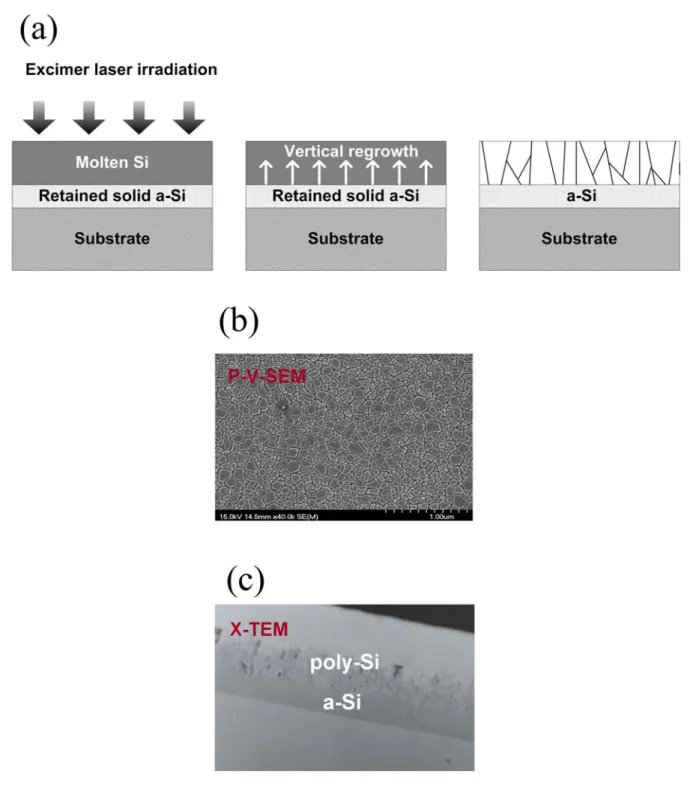 Figure 1-1. (a) The schematic illustration of the excimer laser crystallization mechanism of  a-Si thin films in partial-melting regime