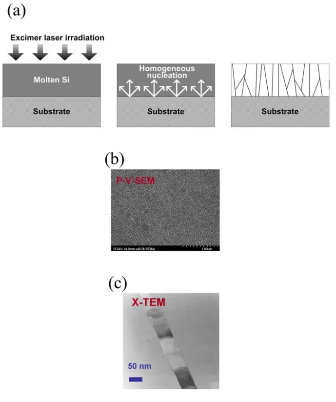 Figure 1-2. (a) The schematic illustration of the excimer laser crystallization mechanism of  a-Si thin films in complete-melting regime