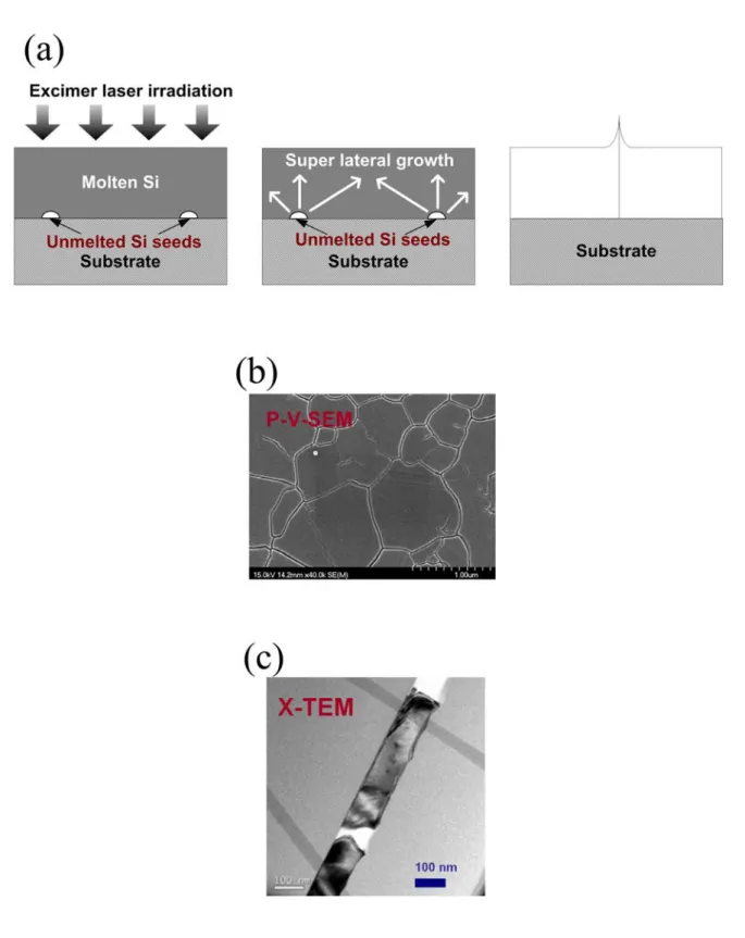Figure 1-3. (a) The schematic illustration of the excimer laser crystallization mechanism of  a-Si thin films in near-complete-melting regime