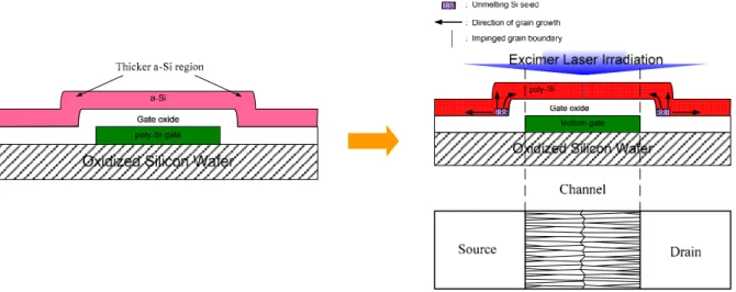 Figure 2-1. The schematic illustration of the mechanism of lateral grain growth using  bottom-gate structure of a-Si thin film