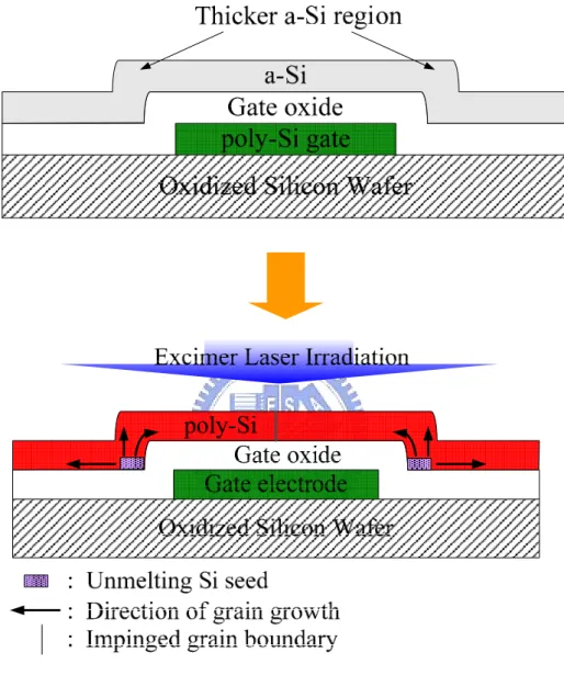Figure 2-3. The process procedures for the preparation of poly-Si thin films with bottom-gate  structure crystallized by ELC