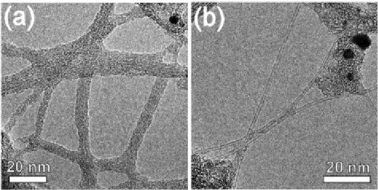 圖 1-18 (a)TEM 圖中為 functionalized CNTs，其管壁明顯有鍵結物產生；