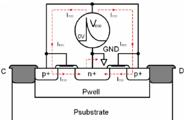 圖 1.  應用在射頻電路中的 poly-gated 二極體元件結構 [1].