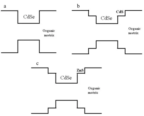 Figure 1.5 Bared CdSe QDs and inorganic surface passivation core/shell  QDs (a) organic matrix (b) CdS shell (c) ZnS    passivation on CdSe  surface [13-15]